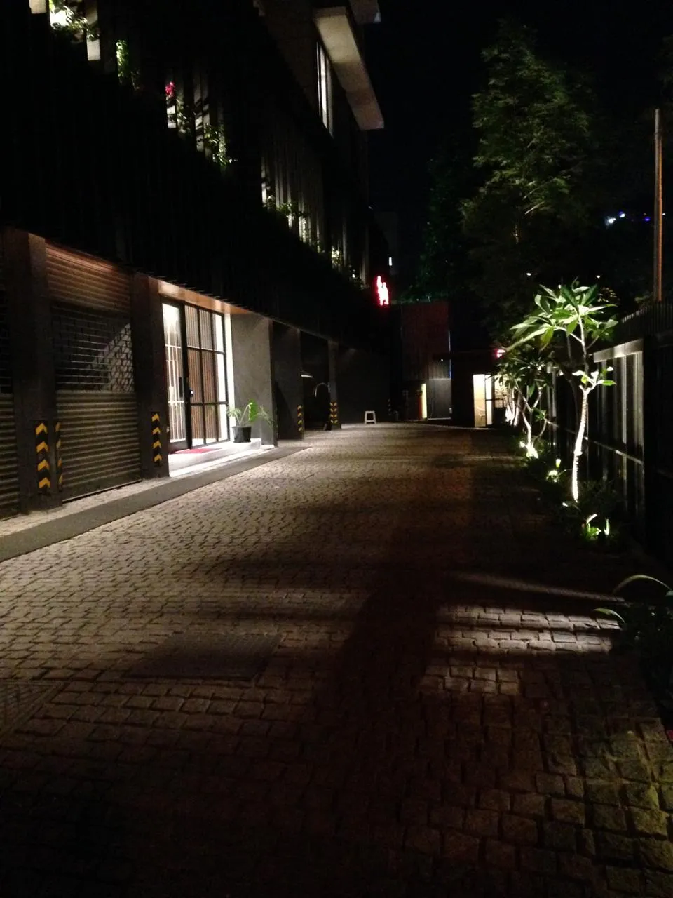 3 BHK Flats on Rent in Satguru Shlok, Bandra West