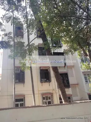 3 BHK Flats on Rent in Bhagyashree CHS, Santacruz West