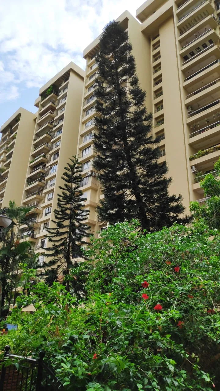 3 BHK Flats for Sale in Green Acres, Andheri West
