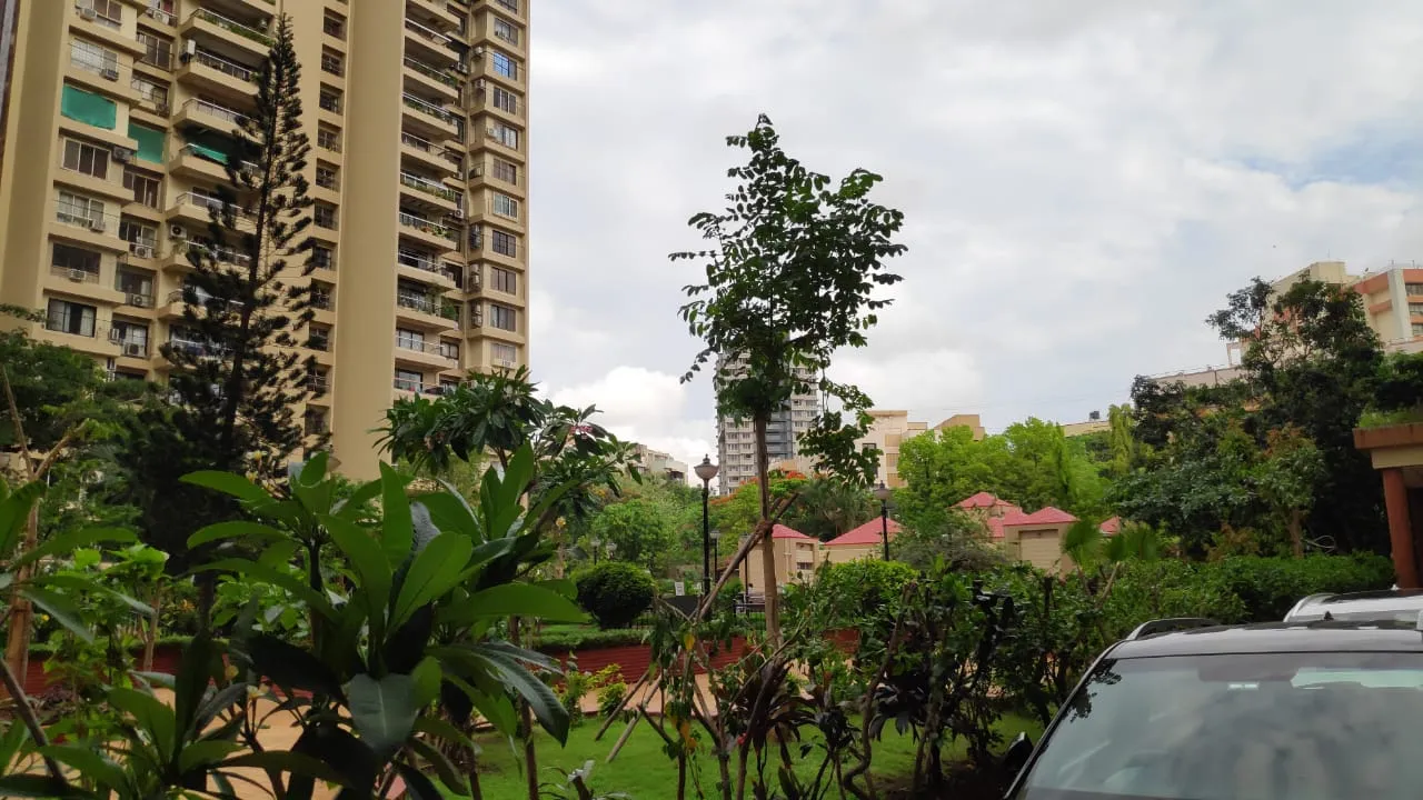 3 BHK Flats for Sale in Green Acres, Andheri West