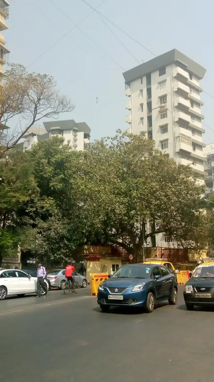 2 BHK Flats on Rent in Diamond Court, Nepeansea Road