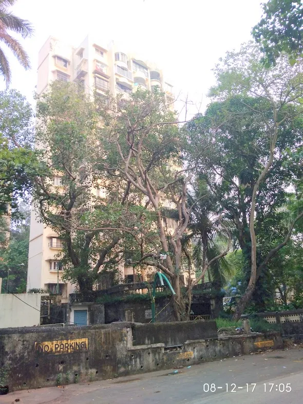 3 BHK Flats on Rent in Sea King, Bandra West