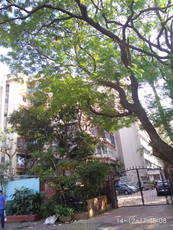 2 BHK Flats on Rent in Sea Gull, Bandra West