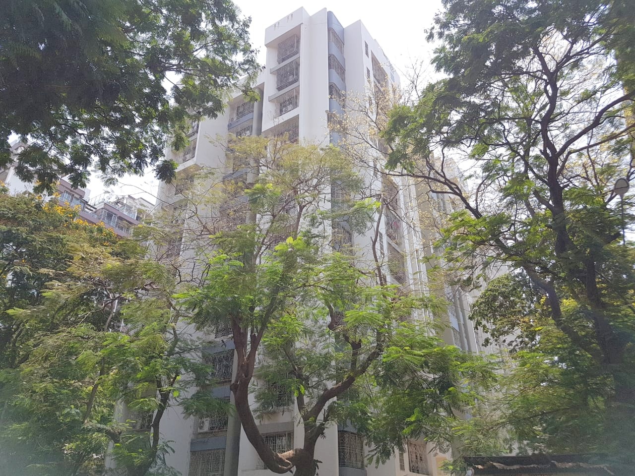 Gulmohar Apartment