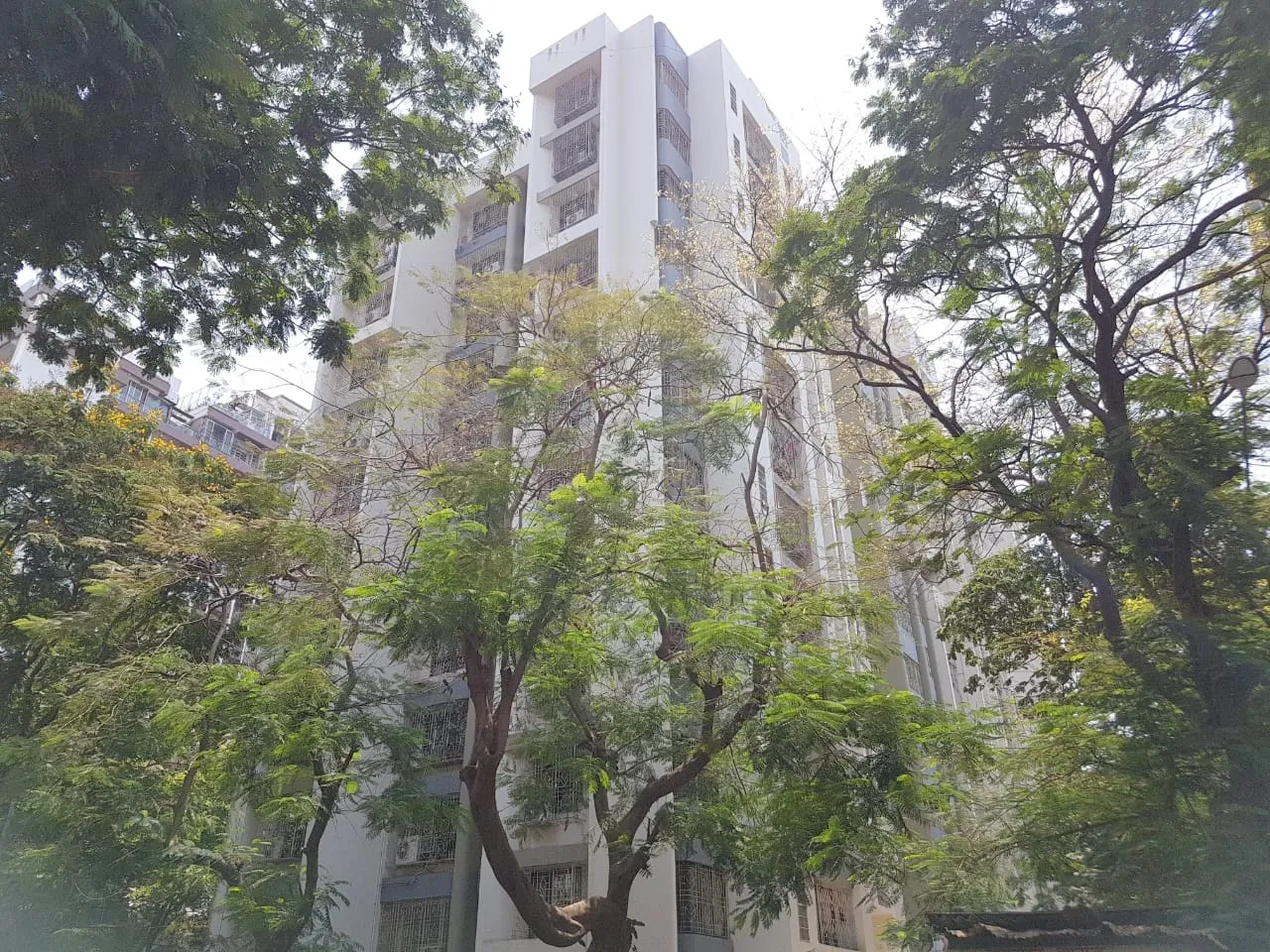 3 BHK Flats on Rent in Gulmohar Apartment, Andheri West