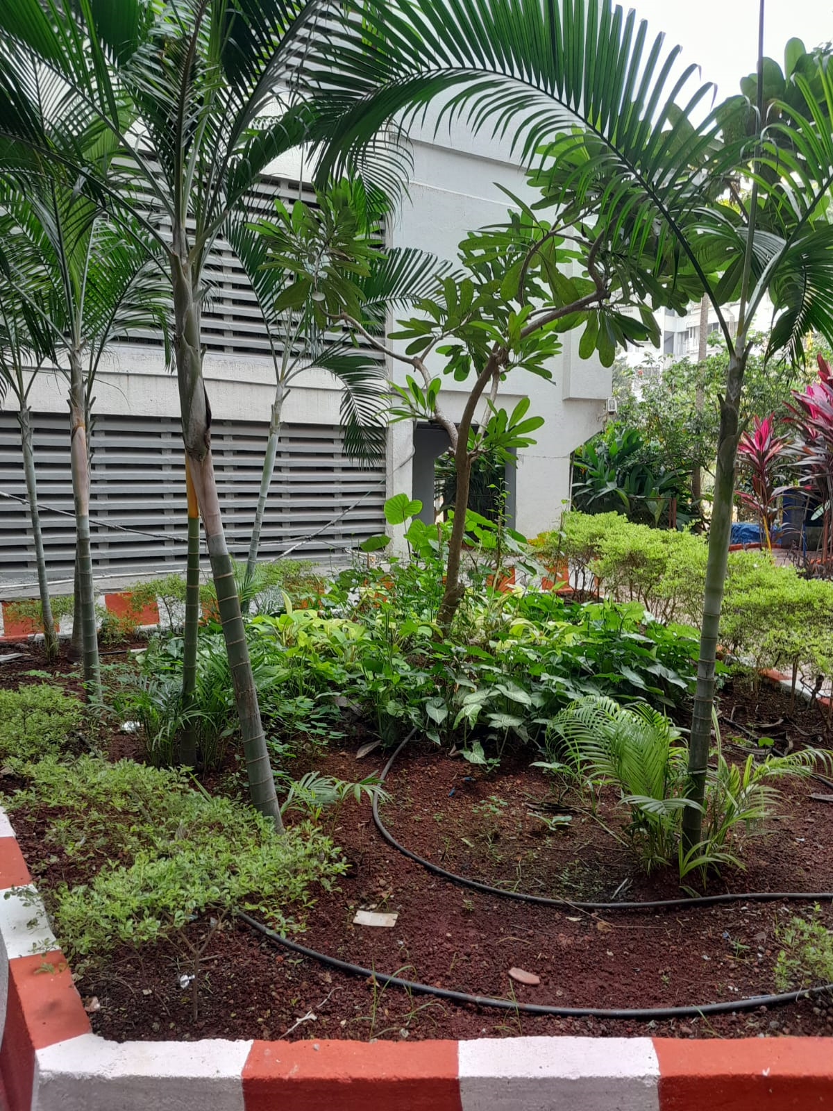 2.5 Tarapore Garden, Andheri West — for Rent — photo 9