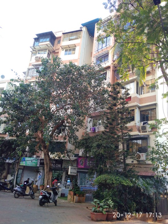 3 BHK Flats on Rent in New Jaldarshan, Bandra West