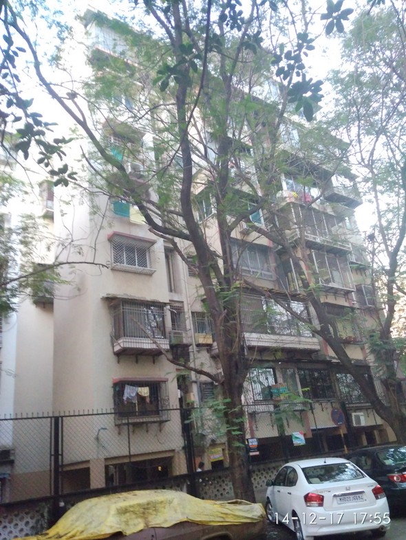 1 BHK Flats on Rent in Sea Pearl, Bandra West