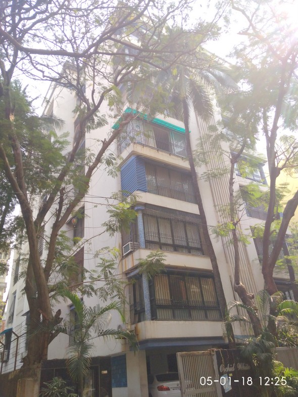 Orchid White, Khar West