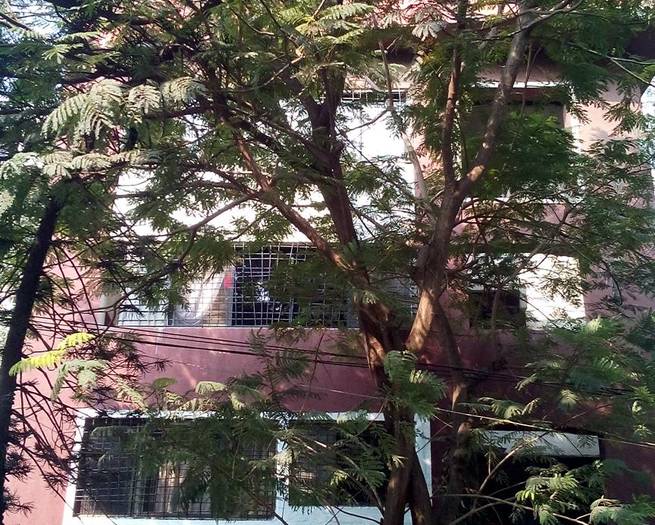1 Lata Soni, Bandra West — for Sale
