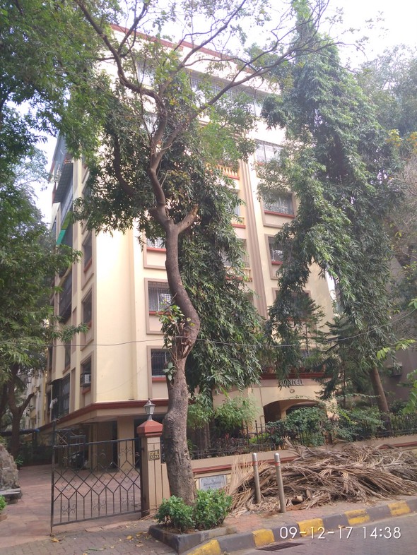 1 BHK Cozydell, Bandra West — for Rent