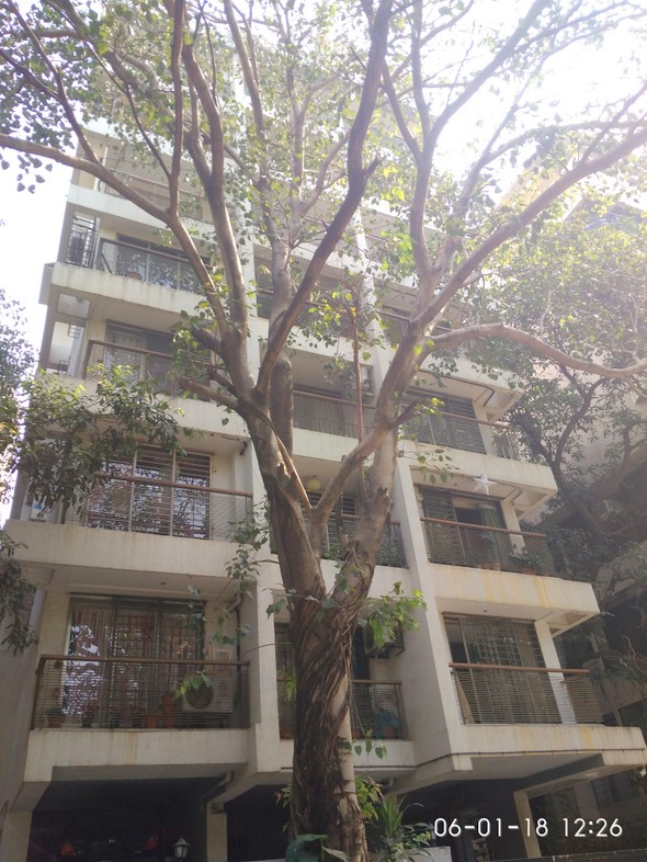 Pushparaj, Khar West