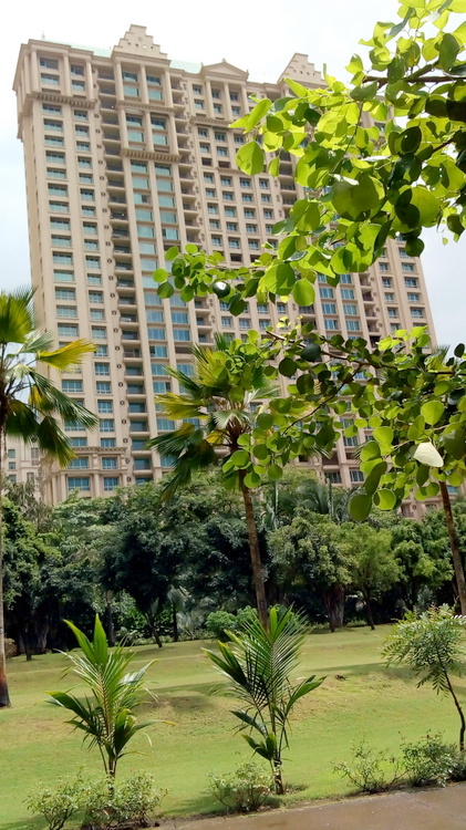 Building - Adonia, Powai