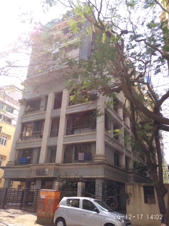 Blue Rose, Bandra West