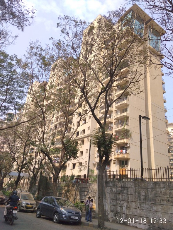 Camellia, Powai