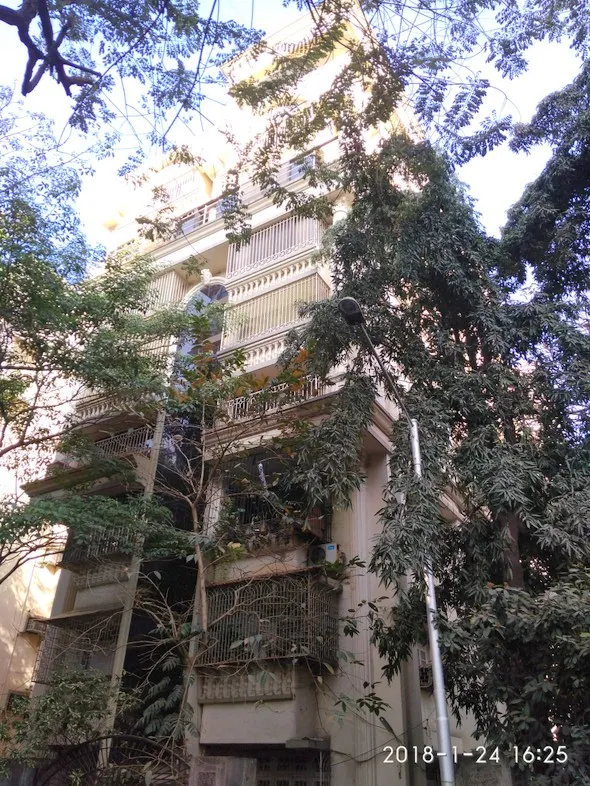 1 BHK Flats for Sale in Shamrock, Santacruz West