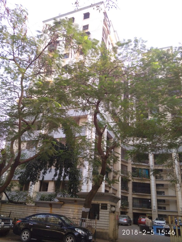 3 BHK Un Furnished in Juhu Griha Swapna