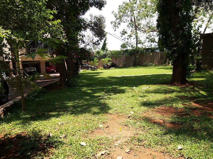 Garden - Rising Sun, Juhu