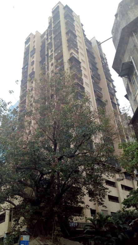 Kinjal Tower