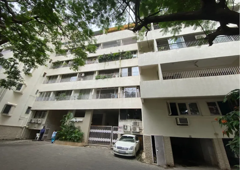 1 BHK Flats on Rent in Olympus, Altamount Road