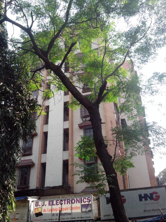 1 BHK Flats on Rent in Kingston, Andheri West