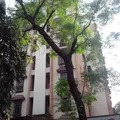 2 BHK Flats on Rent in Kingston Apartment, Andheri West