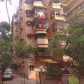 1 BHK Flats on Rent in Manik Smrurti, Khar West