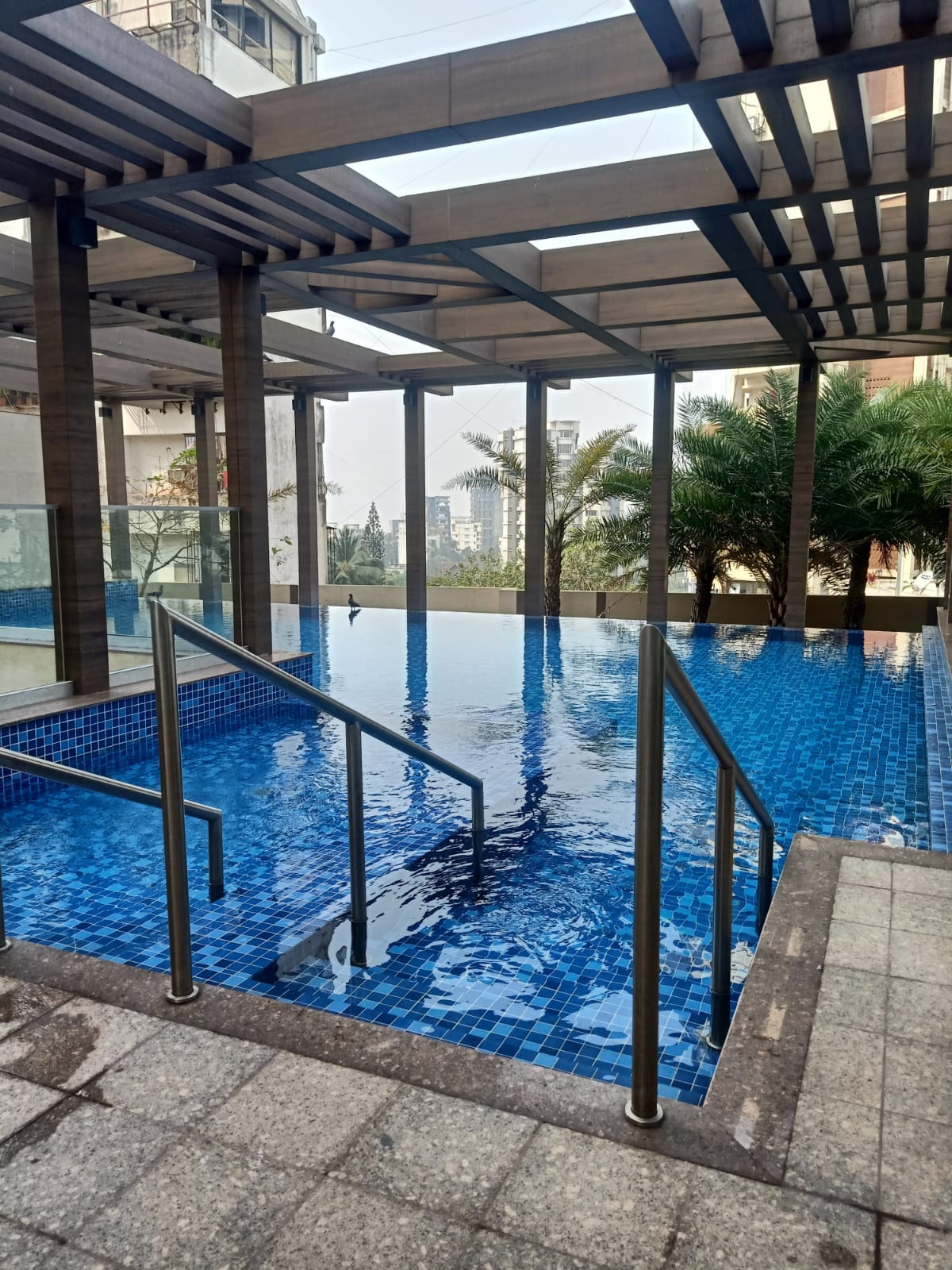 Swimming Pool1 - Navroze, Bandra West