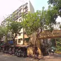 1 Flats on Rent in Panchsheel Gardens, Kandivali West