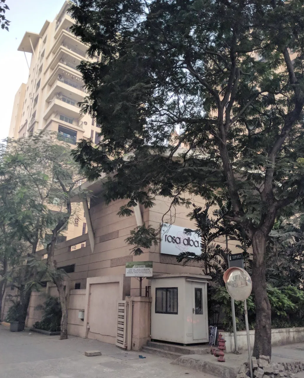 Rosa Alba, Powai