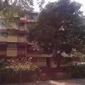 Olar Apartments