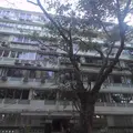 3 BHK Flats on Rent in CCI Chambers, Marine Drive
