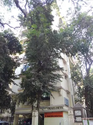 3 BHK Flats on Rent in Trilokya, Khar West