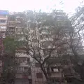 3 BHK Flats on Rent in Trishul, Bandra West