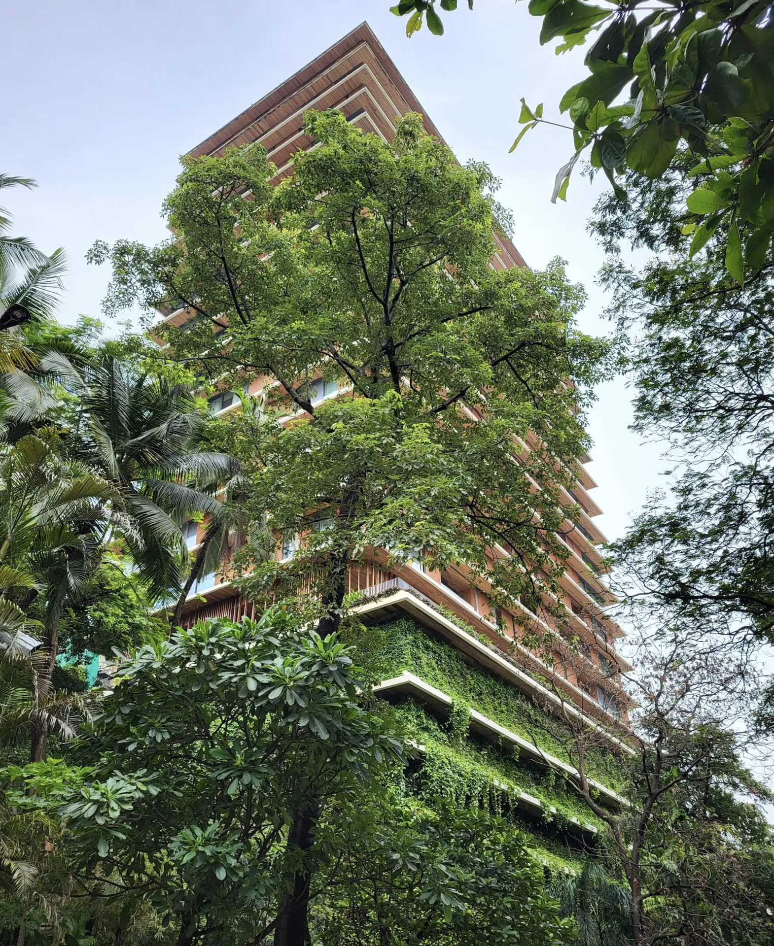 Carmichael Residences - Carmichael Residences, Carmichael Road