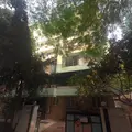 Nectar