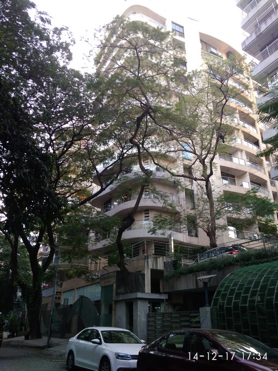 Ever Glades, Bandra West