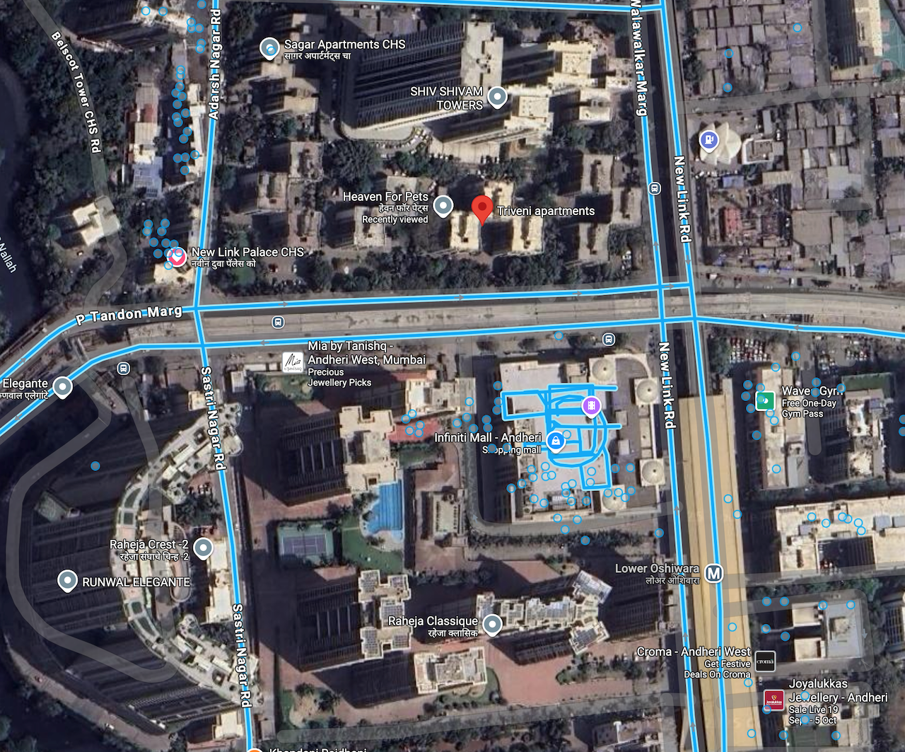 1 BHK Flats for Sale in Triveni CHS, Andheri West