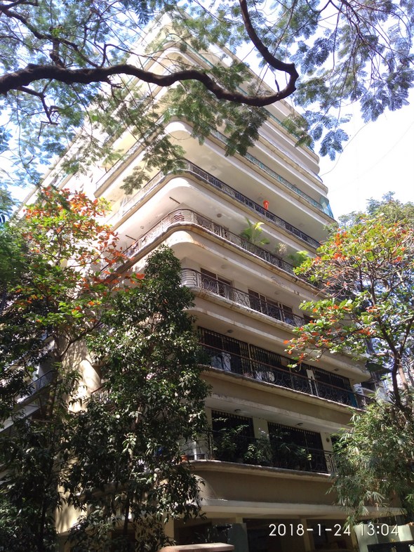 Holly Hock, Santacruz West