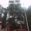 2 BHK Flats for Sale in Casa Maria Building, Bandra West