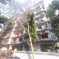 3 BHK Flats on Rent in Parshwa Kunj, Girgaon