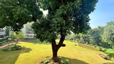 3 BHK Hill Park Apartments, Walkeshwar — for Rent — photo 2 thumbnail