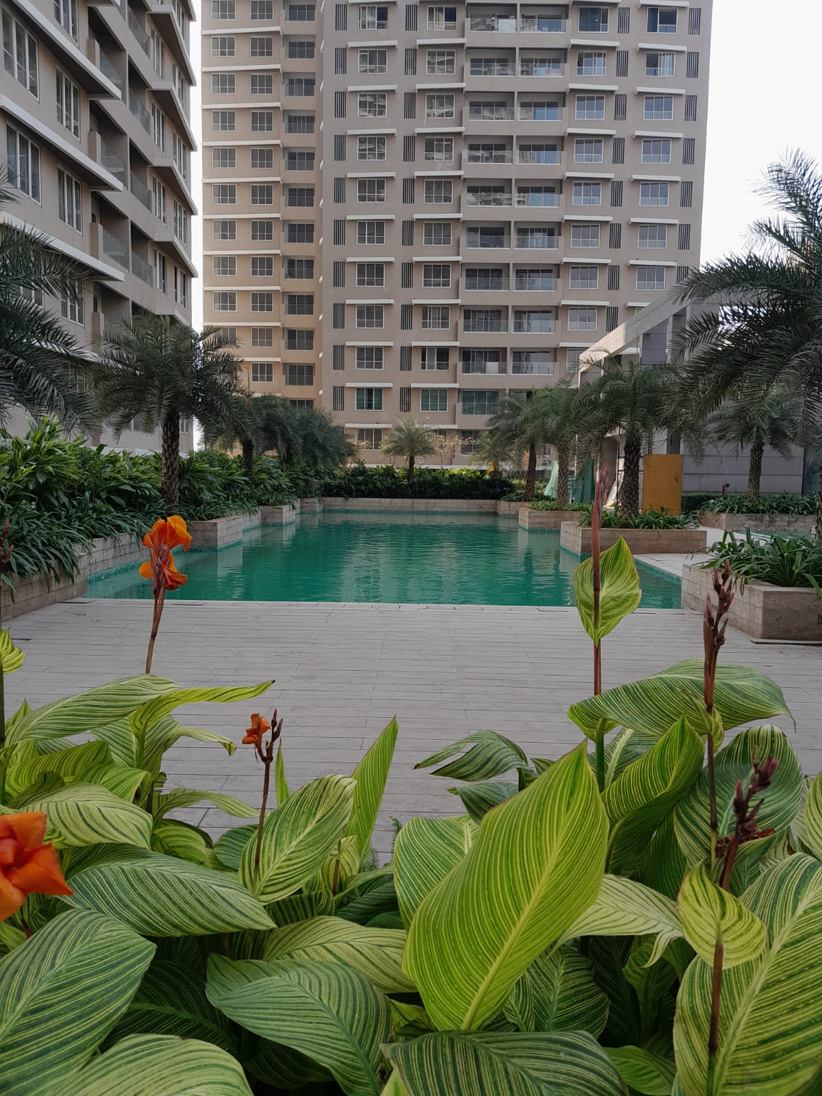 3 BHK Kalpataru Radiance for Rent in Goregaon West