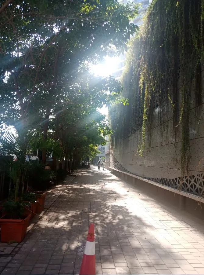 3 BHK Flats on Rent in Kalpataru Sparkle, Bandra East