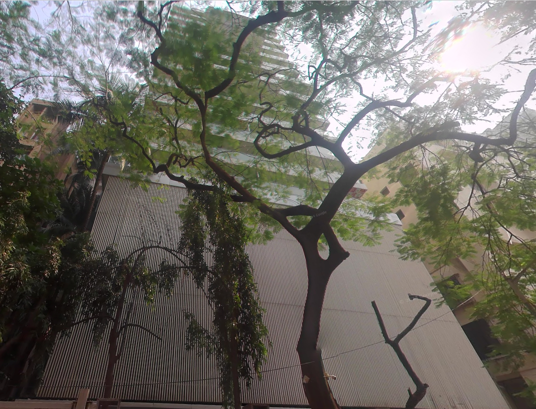 3 BHK Westend Apartment for Rent in Santacruz West