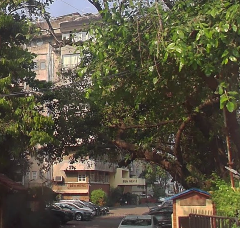 2 BHK Flats on Rent in Ben Nevis, Breach Candy