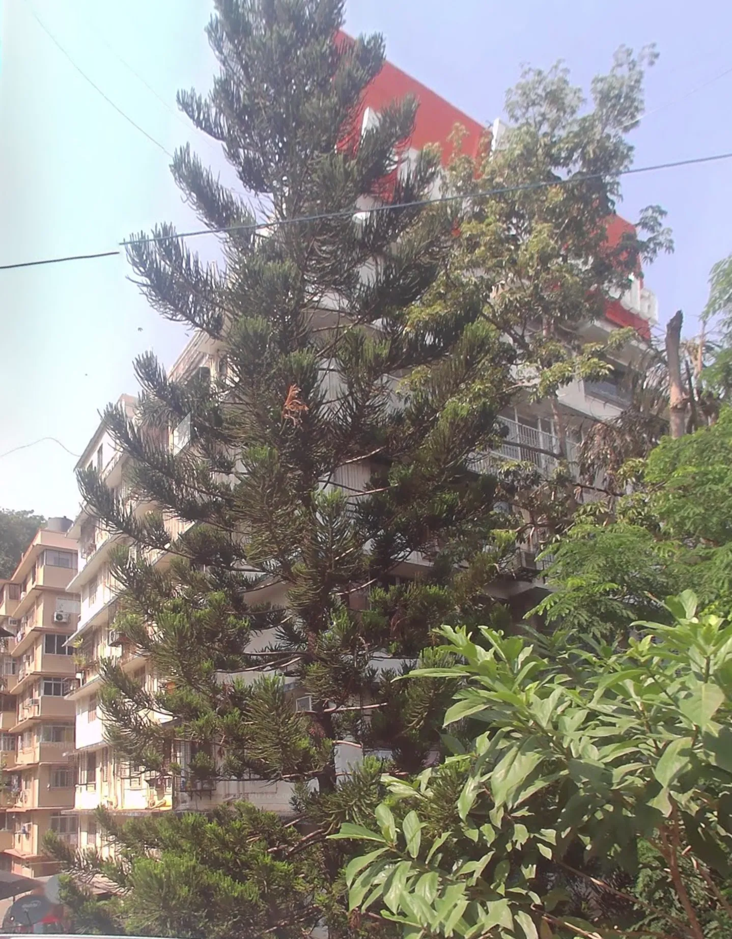 New Shree Niketan, Walkeshwar