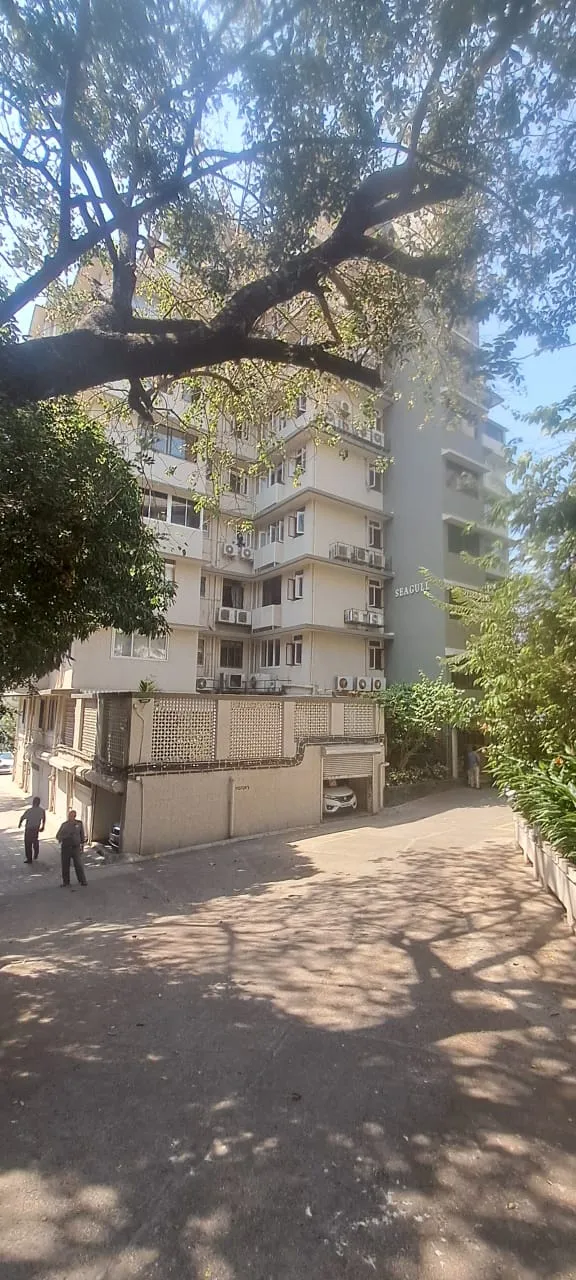 2 BHK Sea Gull, Carmichael Road — for Rent