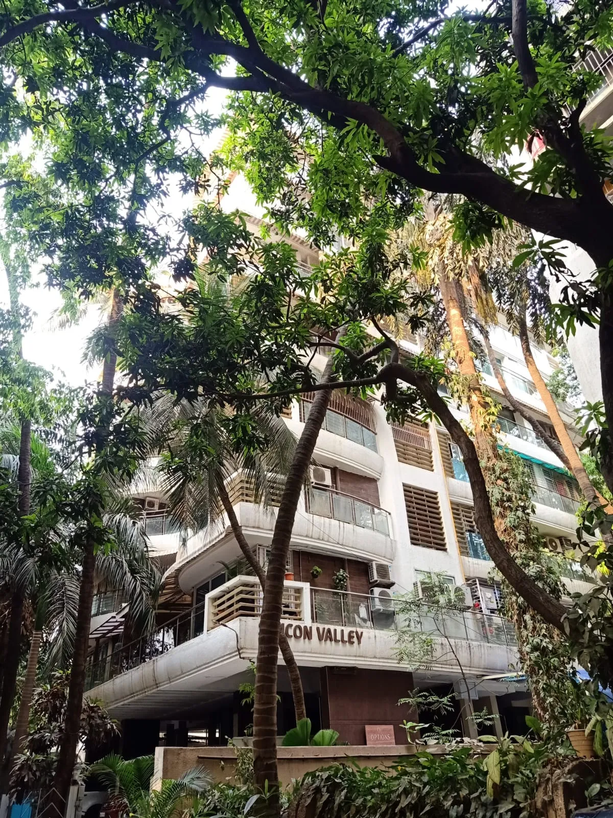 1 BHK Flats on Rent in Silicon Valley, Santacruz West