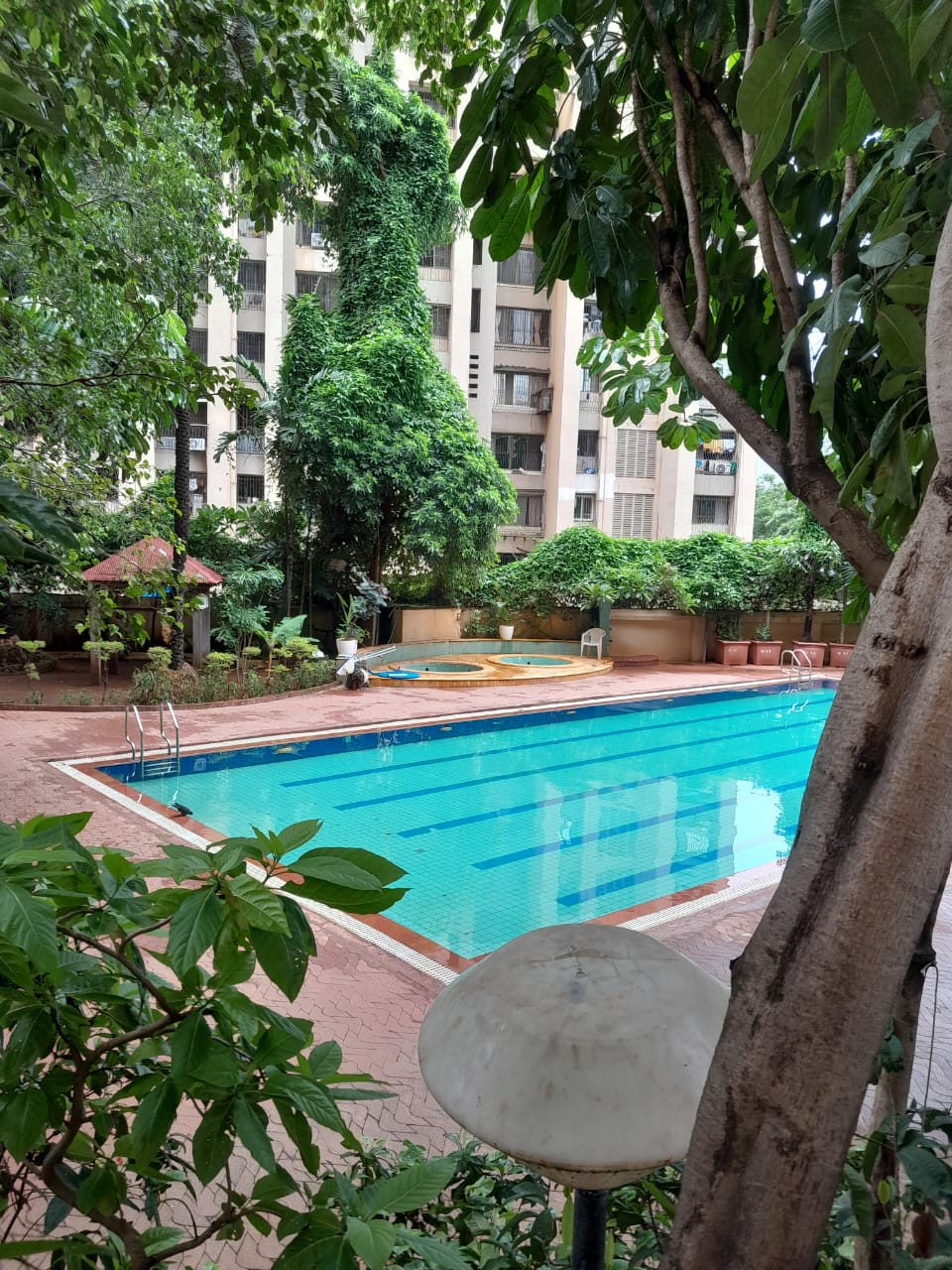 Swimming - Windermere, Andheri West